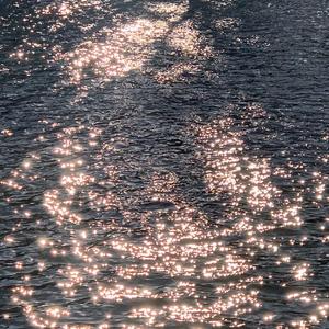 日本高清不卡Aⅴ免费网站
